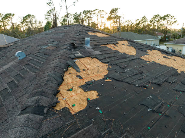 Best Commercial Roofing Services  in Corvallis, MT